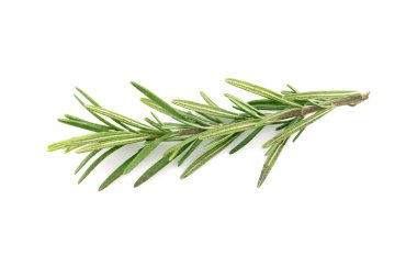 Beyaz arkaplanda biberiye izole edildi