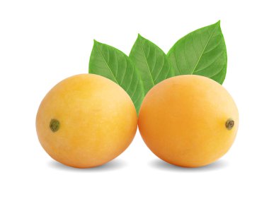 Beyaz arkaplanda yalıtılmış Marian erik meyvesi