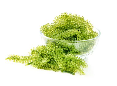 Beyaz arkaplanda deniz yosunu (yeşil havyar)