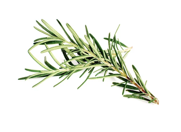 Rosemary Leaf Herbal Spices Isolated White Background — Stock Photo, Image