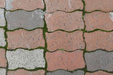 Birbirine kenetlenmiş kaldırım taşlarının üst görünümü