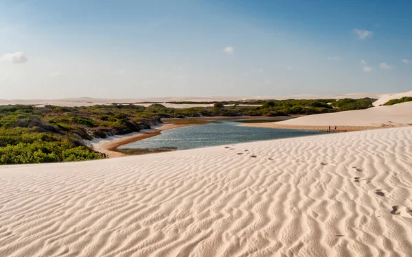 Lencois Maranhenses National Park Maranhao Brazil 인류의 — 스톡 사진