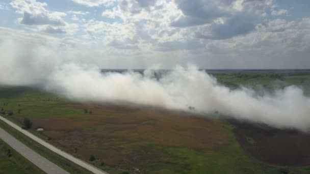 Queimar lixo polui o meio ambiente. Vento forte sobe fumaça tóxica de queimar lixo no ar e espalha-lo em longa distância . — Vídeo de Stock