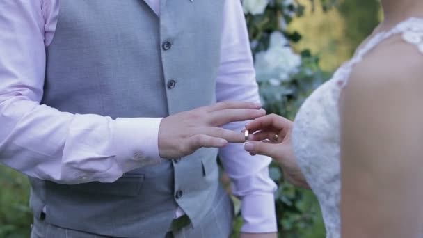 La mariée porte une bague sur le doigt du marié. Des alliances en or et les mains d'un couple marié. Les mariés échangent des alliances . — Video