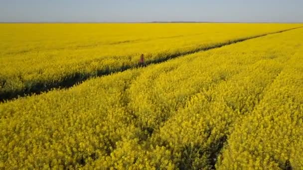 Jolie fille délibérée qui court sur le chemin parmi les champs de viol jaune - vue aérienne. Les cheveux bougent dans le vent .