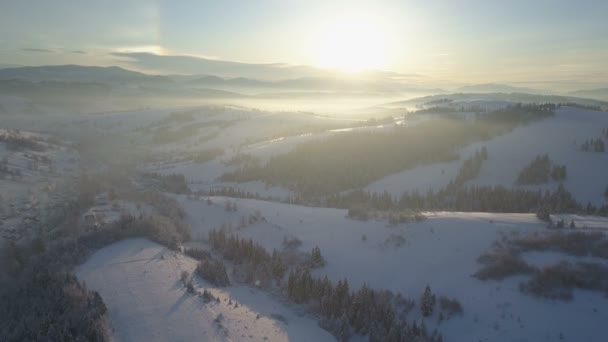 Let nad obec v Karpatských horách. Ptačí pohled na zasněžené domy v horách. Venkovská krajina v zimě. Karpatské vesnice na sněhu z výšky. — Stock video