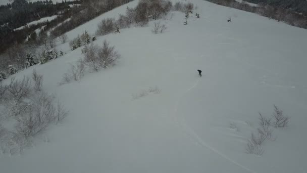 Légi felvétel a snowboardos csökkenő fák között. Madártávlat felett fehér porhó - téli extrém sport, Freeride. — Stock videók