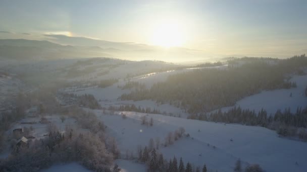 Voo sobre uma aldeia nas montanhas dos Cárpatos. Vista de olhos de pássaros de casas cobertas de neve em montanhas. Paisagem rural no inverno. Aldeia dos Cárpatos na neve de uma altura . — Vídeo de Stock