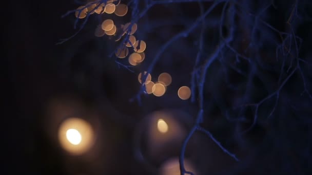 在新年树的白色枝条上燃烧蜡烛。圣诞节假期 — 图库视频影像