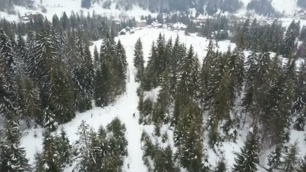 カルパティア山脈のスキー リゾート以上のフライト。スキーで降順の人々 の空撮. — ストック動画