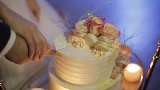 Gros plan des mariés coupant leur gâteau de mariage . — Video