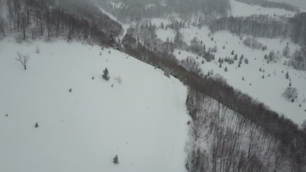 Vista aérea del camino de montaña vacío entre pinos nevados — Vídeo de stock