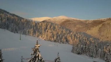 Kablo sandalye asansör ve pines mountain Kayak Kış merkezinde uçuş. Çam ağaçları ile Dağları kar ile kaplı.