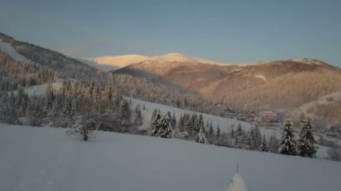 Bir köyde Karpat Dağları üzerinde uçuş. Kuşlar karla kaplı dağlar evlerde görünümünü göz. Kışın kırsal manzara. Karpat köyü bir yükseklikten karda.