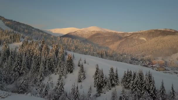 Karpaten Dorf Schnee Aus Einer Höhe Flucht Über Berge Und — Stockvideo