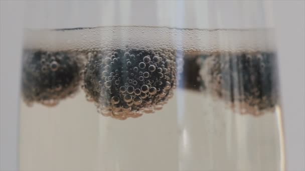 Close-up van champagne bubbels gekoppeld aan bosbessen drijvend in een glas. — Stockvideo