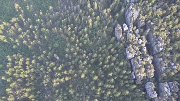 Increíble formación rocosa en Szczeliniec Wielki en el Parque Nacional de las Montañas de la Mesa. Atracción turística de los Sudetes polacos — Vídeo de stock