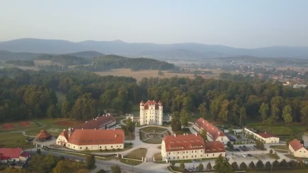 Vista aérea del Palacio medieval en Europa Occidental, Wojanow, Polonia — Vídeo de stock