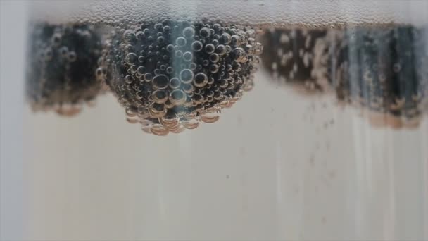 Close-up van champagne bubbels gekoppeld aan bosbessen drijvend in een glas. Slow motion. — Stockvideo