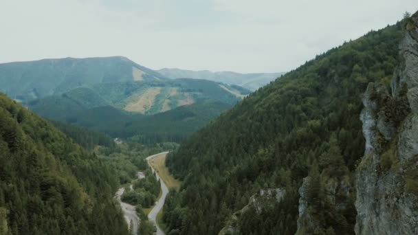 在美丽的深谷中, 可以看到山路的鸟图。汽车在山路上行驶. — 图库视频影像