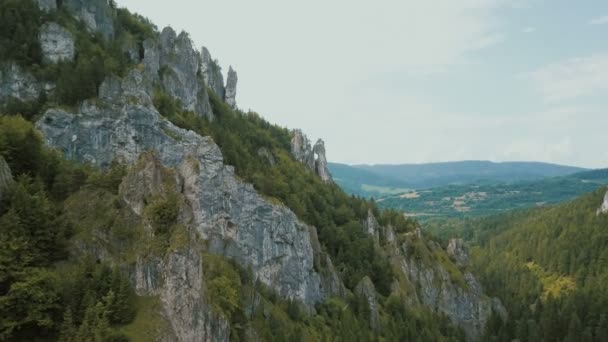 美しい深い峡谷で山道の空撮。山道に車を移動します。. — ストック動画