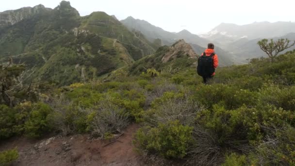 바다 위의 선인장 사이에 산에서 높은 걷는 젊은 여자. 카나리아 제도, 테네리페의 높이에서 바다를 관찰 아름 다운 풍경에 정상에 레이디. — 비디오