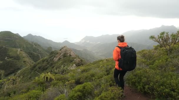 Jovem mulher caminhando alto em montanhas entre cactos e plantas tropicais em belas paisagens. Senhora na rota turística nas Ilhas Canárias, Tenerife . — Vídeo de Stock