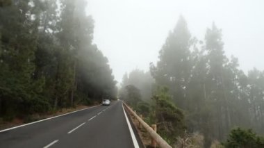 Pov dağlardaki bir çam ormanında geçiyor. Bakış açısı sürüş, sis ve mis bir dağ ormanı yol üzerinden sürüş araba içinden görünümü