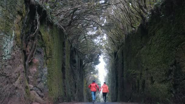 Young optimistic couple runs down between rocks by a road covered by trees in Anaga nature park in Tenerife. Strong wind moves trees branches — Stock Video