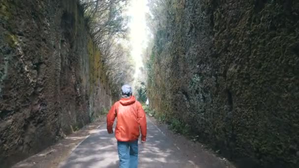Jovem homem otimista passeios turísticos e saltos entre rochas por uma estrada no parque natural de Anaga, em Tenerife. Vento forte move árvores ramos — Vídeo de Stock
