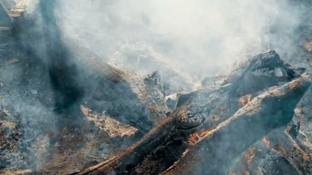 Крупним планом полум'я багаття кемпінгового вогню, Супер повільний рух палаючих дров . — стокове відео