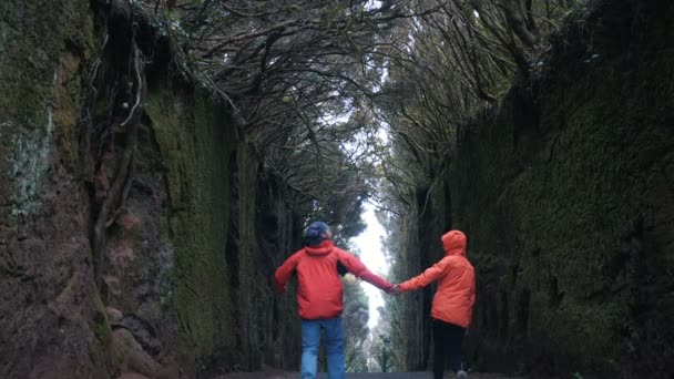 Una joven pareja optimista camina y se da la vuelta en un camino entre rocas cubiertas de árboles en el parque natural de Anaga en Tenerife. El viento fuerte mueve ramas de árboles — Vídeo de stock