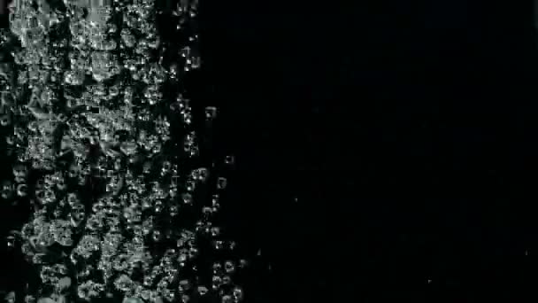 Caindo chuva cai animação de filmagem em câmera lenta sobre fundo preto. Queda de gotas de água contra fundo preto . — Vídeo de Stock