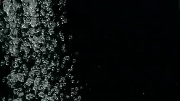 Falling raindrops footage animation in slow motion on black background. Falling water droplets against Black Background. — Stock Video