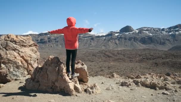 Osoba, která pozoruje obrovský kráter Teide sopky na Tenerife, Kanárských ostrovech, Španělsku. — Stock video