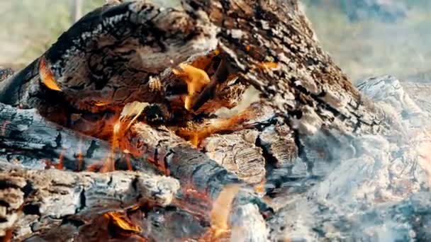 Close-up kampvuur vlammen van kampvuur, slow motion brandend brandhout. — Stockvideo