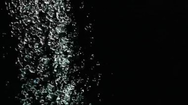 Düşen su siyah arka plan üzerinde yavaş çekimde düşer. Siyah Arka Plan'a karşı düşen su damlacıkları.