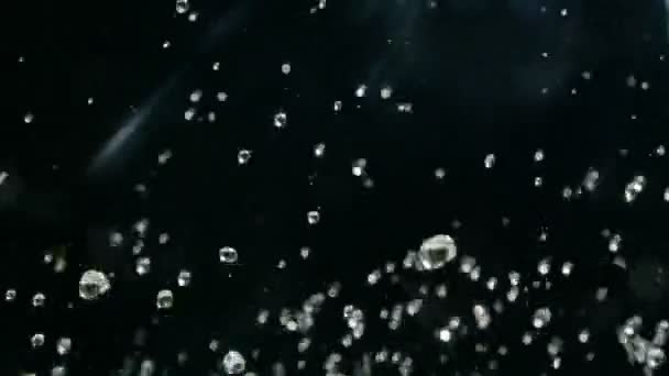 Vor schwarzem Hintergrund steigen Wassertröpfchen in die Luft. Wasserspritzer in Zeitlupe auf schwarzem Hintergrund. — Stockvideo