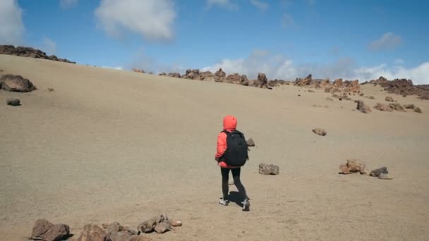 テネリフェ島、カナリア諸島、スペインのテイデ火山の巨大なクレーターで溶岩岩の中の火山砂に沿ってハイキングバックパックを持つ若い女性の追跡ショット. — ストック動画