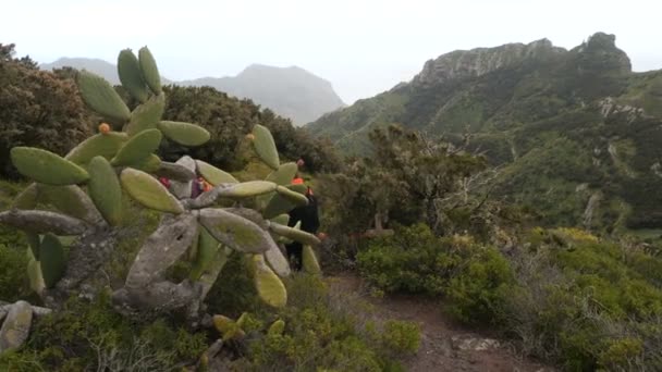 A nők séta magas hegyek között kaktuszok az óceán felett. Lady a csúcstalálkozón a gyönyörű táj megfigyelése óceán egy magasság a Kanári-szigeteken, Tenerife. — Stock videók