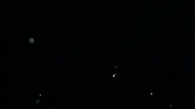 Su damlacıkları siyah arka plana karşı havada yükselir. Siyah arka planda yavaş hareket su sıçrama.