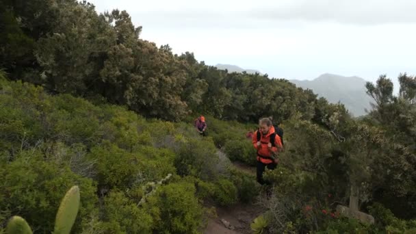 Junge Frauen, die hoch oben in den Bergen zwischen Kakteen und tropischen Pflanzen in einer wunderschönen Landschaft wandern. Damen auf der Touristenroute auf den Kanarischen Inseln, Teneriffa. — Stockvideo