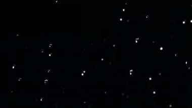 Su damlacıkları siyah arka plana karşı havada yükselir. Siyah arka planda yavaş hareket su sıçrama.