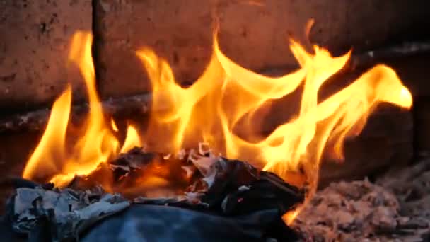 书页着火了。燃烧的书籍的篝火 — 图库视频影像