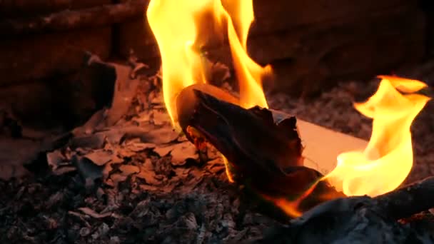 Страницы и рисунки манускрипта горят в огне. Костер сжигания манускрипта — стоковое видео