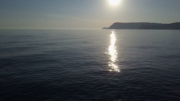 Tiro aéreo de golfinhos com bebés. Vista de natação e pulando golfinhos contra belo pôr do sol . — Vídeo de Stock