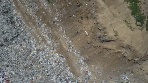 Vista aérea do depósito de lixo da cidade. Gaivotas a alimentar-se de resíduos alimentares. Grande pilha de lixo no local de classificação . — Vídeo de Stock