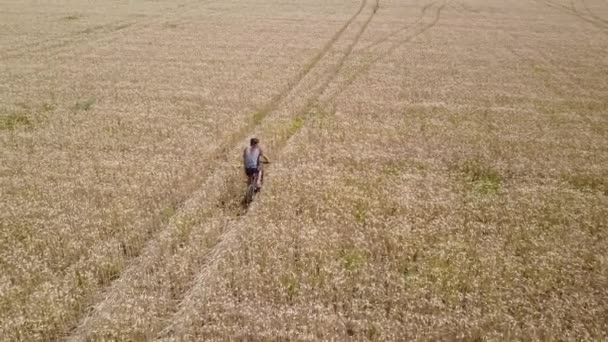 Luftaufnahme eines langhaarigen Mannes, der tagsüber mit dem Fahrrad in der Mitte eines Weizenfeldes fährt. — Stockvideo