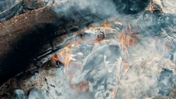 캠핑 화재, 슬로우 모션 불타는 장작의 모닥불 불꽃을 닫습니다. 모닥불에서 불꽃. — 비디오