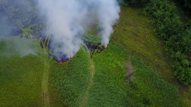 Vol à travers une fumée provenant d'un champ vert en feu, feu de forêt dans le paysage naturel, images aériennes de drone 